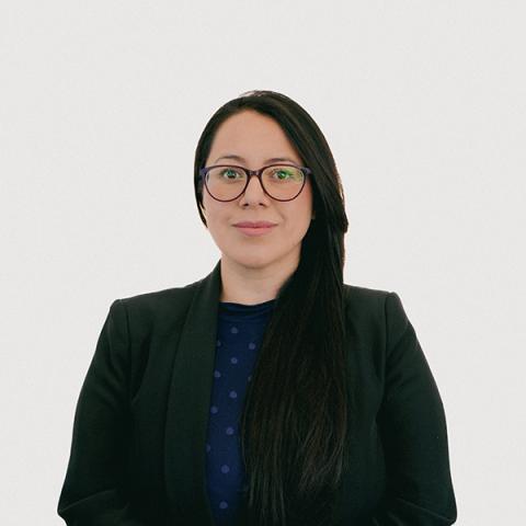 Sarmiento Altamirano