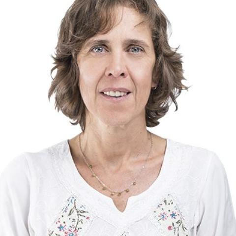 Ansaloni 