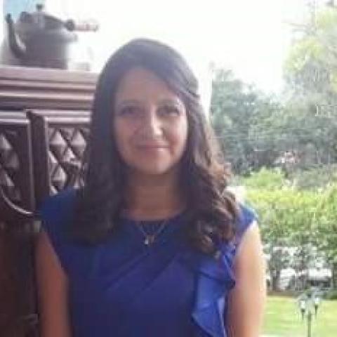 Arteaga Ortiz
