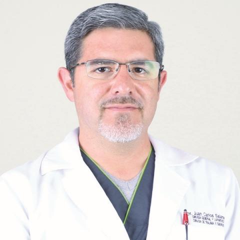 Salamea Molina