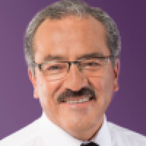 Guevara Toledo